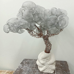 Isabelle Ardevol student wire mesh sculpture made in her studio