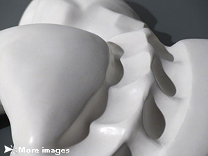 Isabelle Ardevol, Reveries of a solitary walker, acrylic resin sculpture representing a male torso, 2012