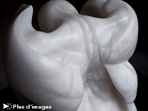 IZA, Isabelle Ardevol, femme artiste contemporain,  Poussée par le Vent, sculpture en albâtre - 2024