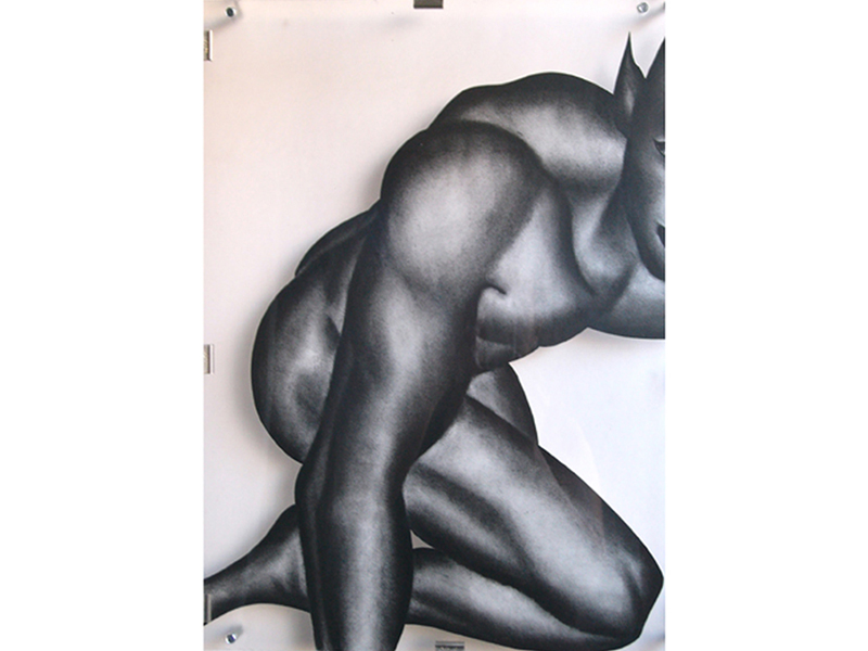 IZA, Isabelle Ardevol, Dessin au pastel sec sur papier et  plexiglas, 1995-2005